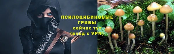 гашик Арсеньев