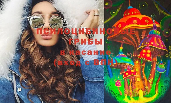 прущая мука Аркадак