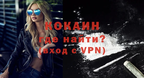 гашик Арсеньев